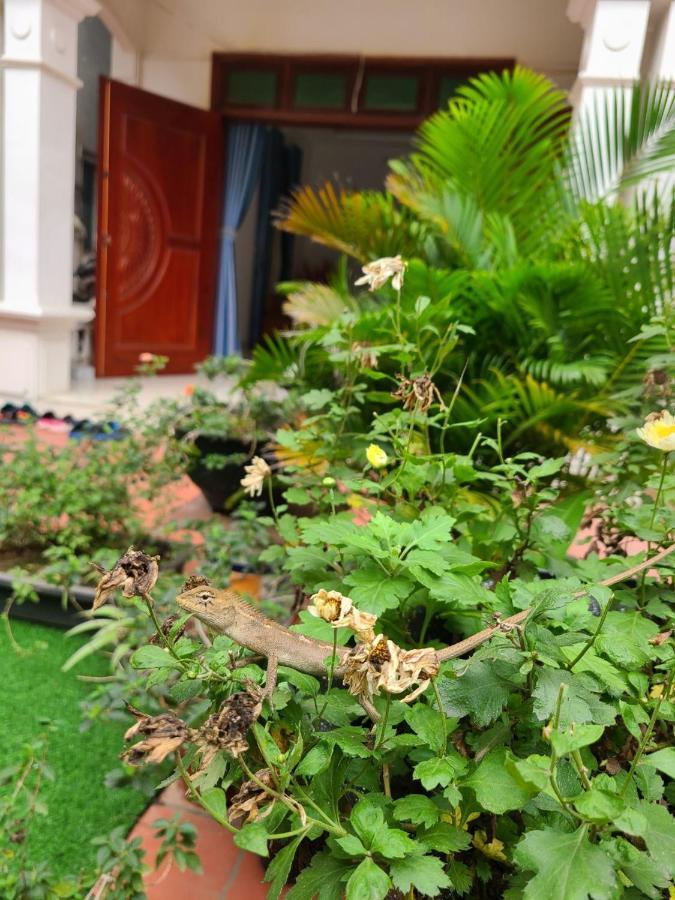 An Homestay Yen Exterior foto